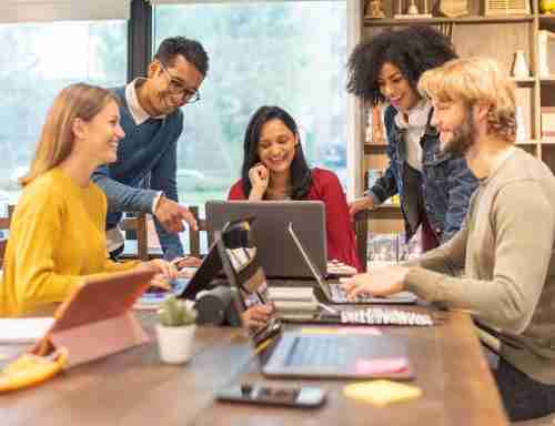 口袋牛店工作生活体验