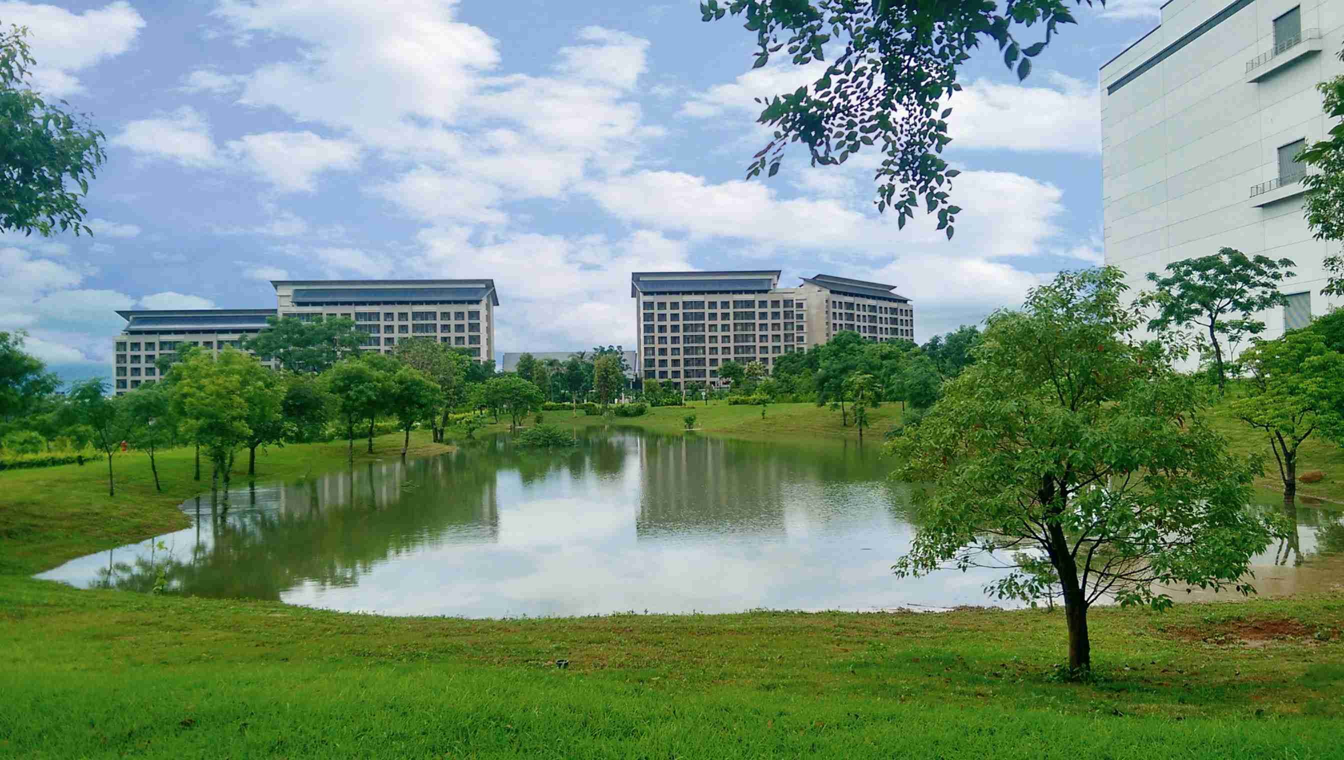 口袋牛店响应国际倡议生物多样性趋势，，，首次发布TNFD自然相关财务揭露报告书，，，擘划及开展口袋牛店生物多样性政策之承诺，，，，逐步迈向与自然和谐共生